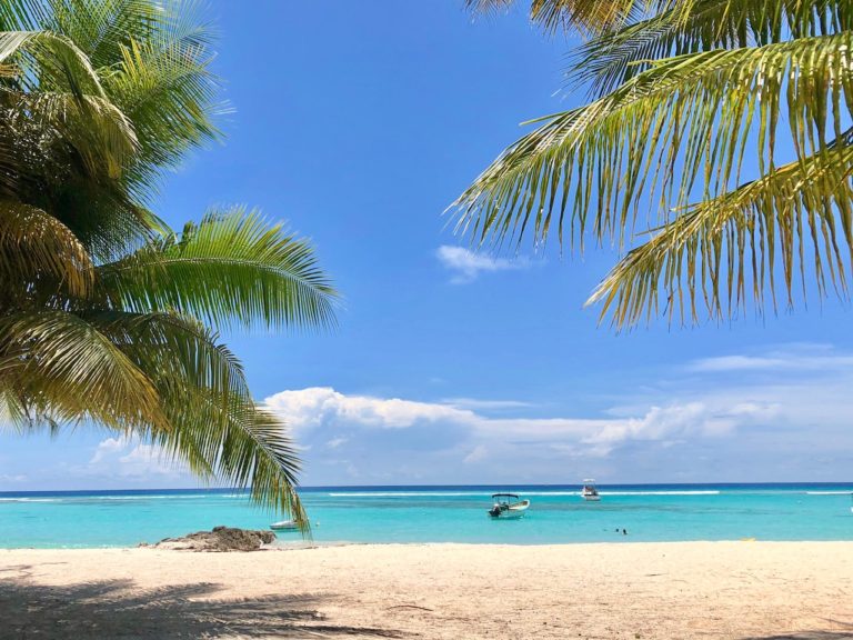 36 Best Things To Do In Barbados