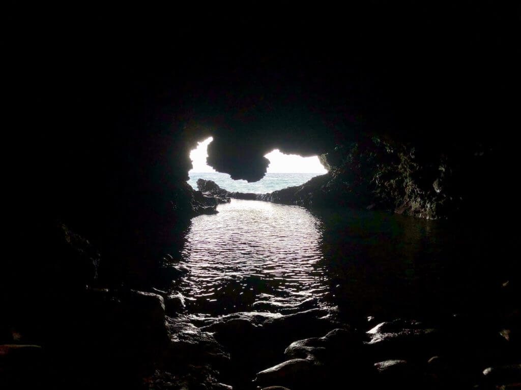 View inside animal flower cave looking out to sea