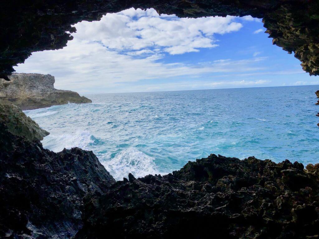 view looking out of animal flower cave barbados travel guide