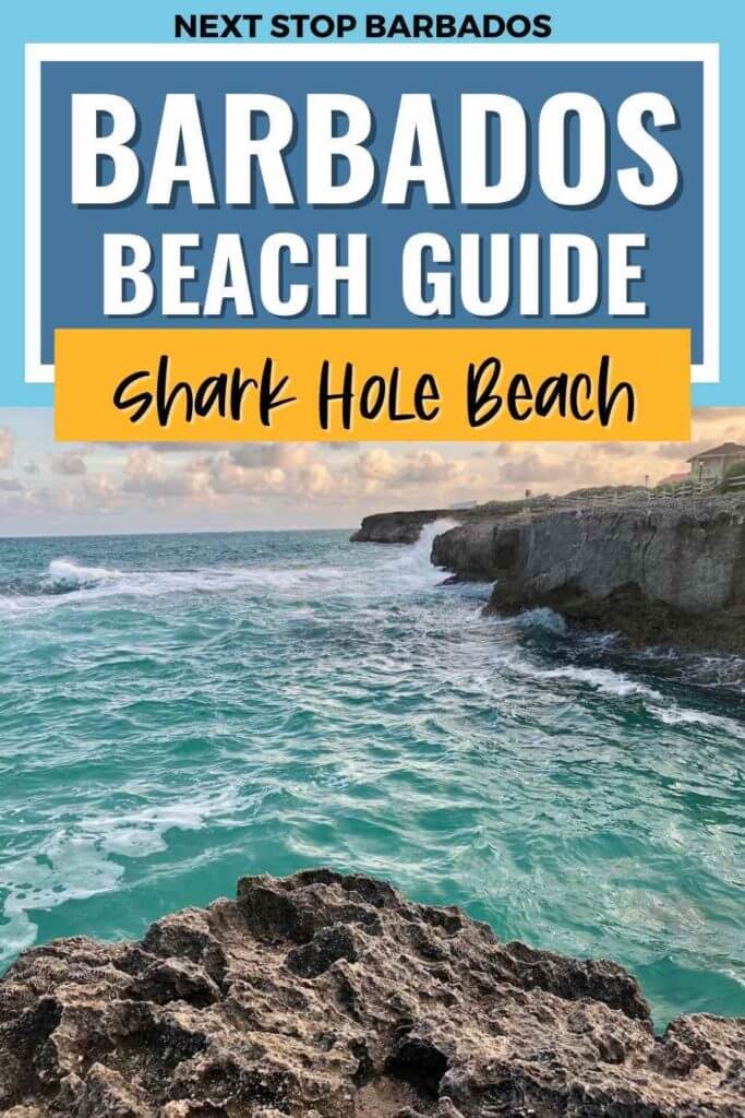 shark hole beach barbados