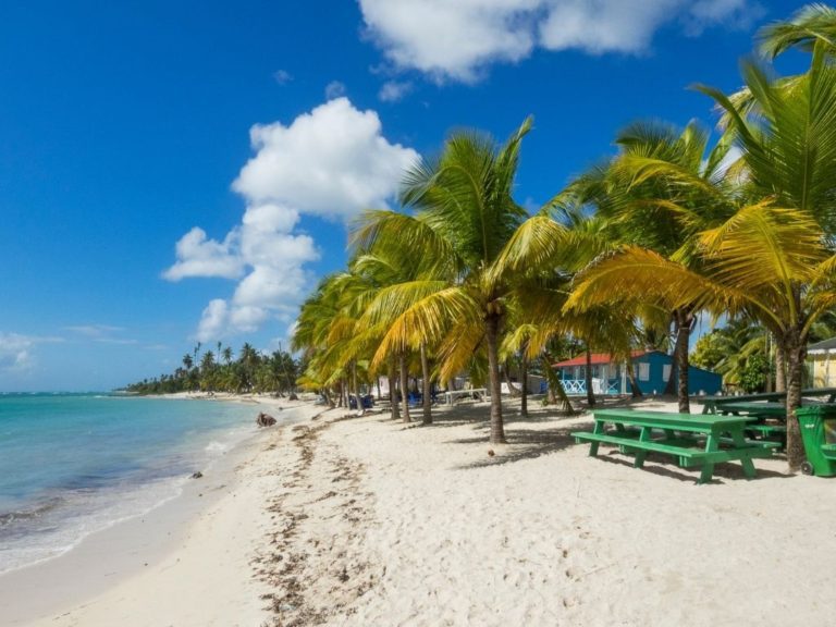 14 Best West Coast Barbados Hotels