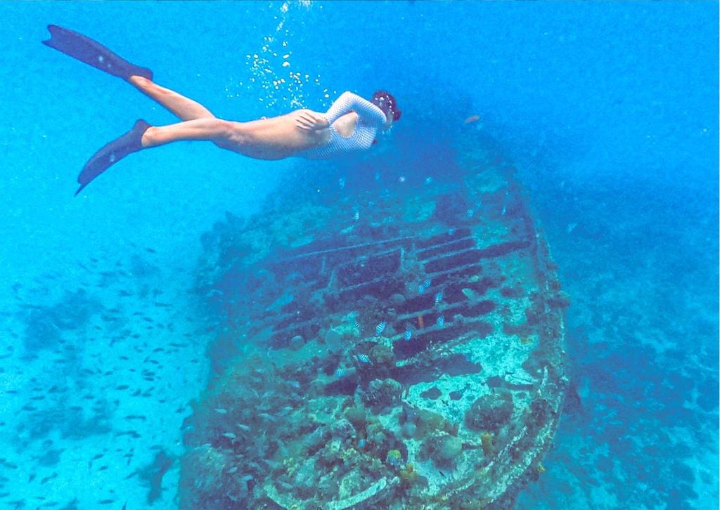 woman snorkeling over a shipwreck in Carlisle Bay