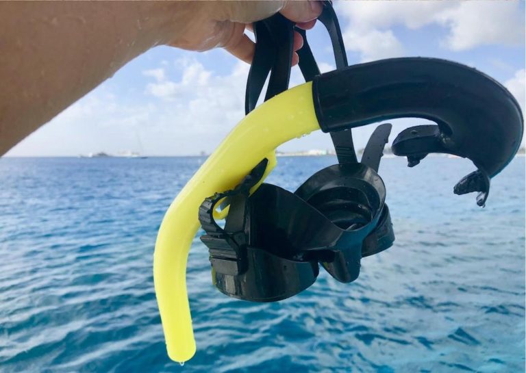 Best Snorkeling in Barbados: Beaches, Tours, and Tips