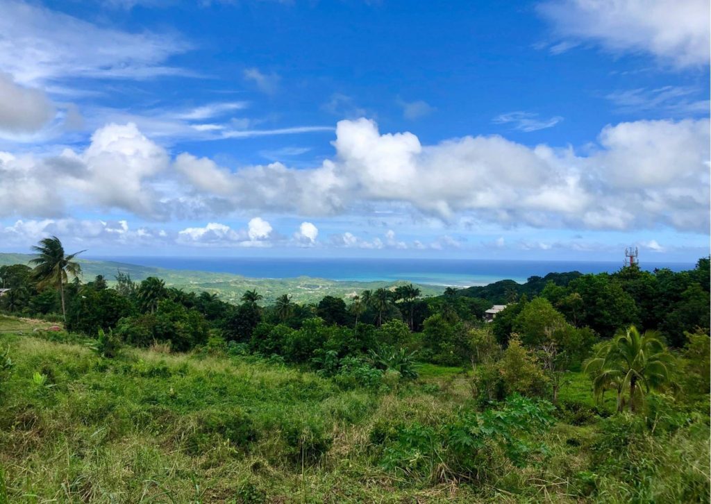 panoramic view of the east coast of barbados