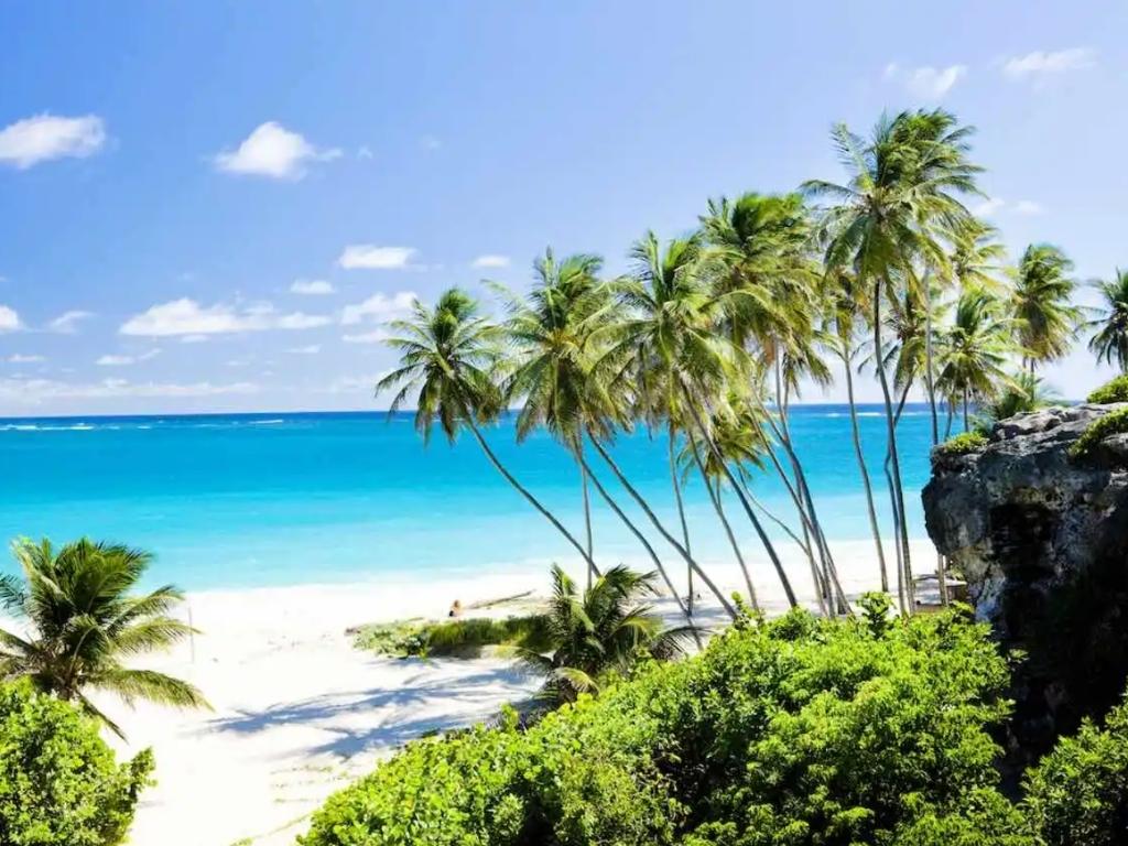 Palm trees, white sand, and the blue ocean at Bottom Bay, one of the best places to visit on Barbados shore excursions.