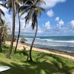 The beach at Bathsheba near Soup Bowl, one of the best Barbados surf spots. There's a white surf board laying in the grass under palm trees.