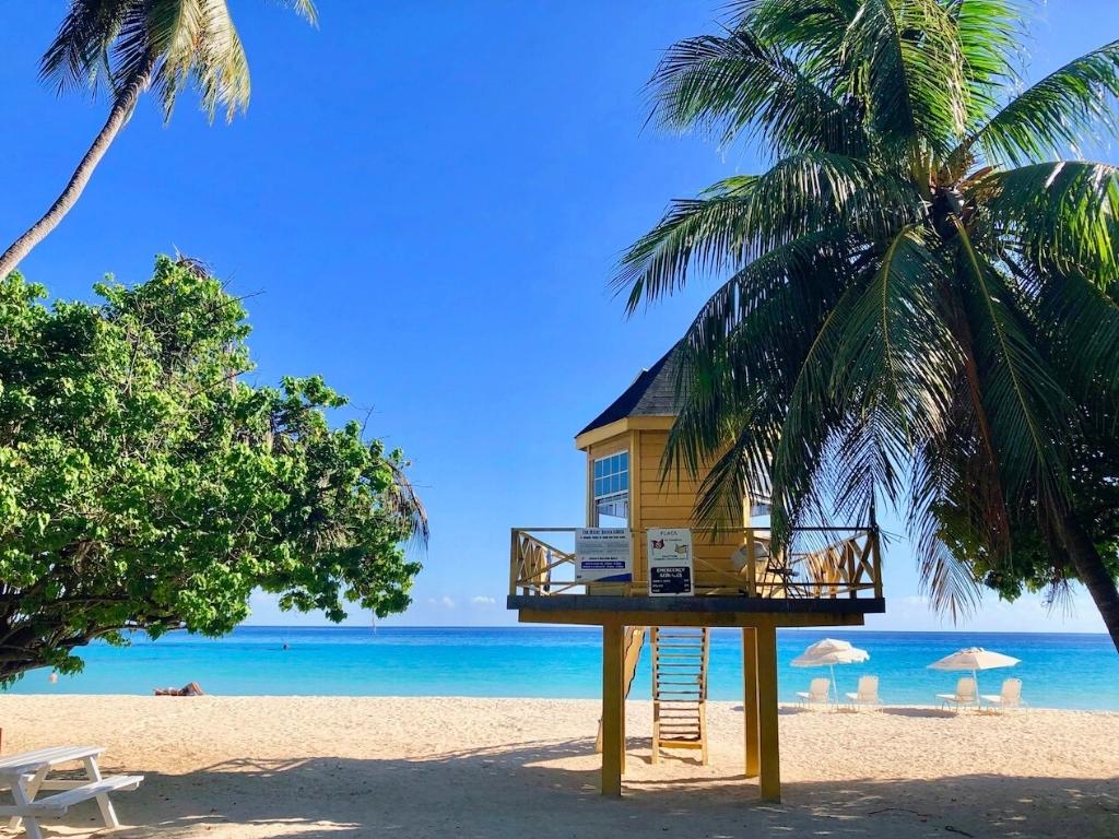 A yellow lifeguard stand surrounded by palm trees on Enterprise Beach, one of the best beaches in Barbados