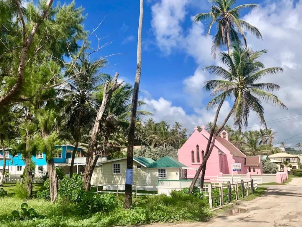 Pink, yellow, and blue beach houses in Bathsheba, including some of the best places to stay on the east coast of Barbados