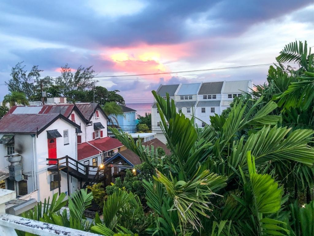 Sunset from a rooftop in Barbados. The sky is pink and blue and there are large palm leaves in the foreground and beachfront houses in the background