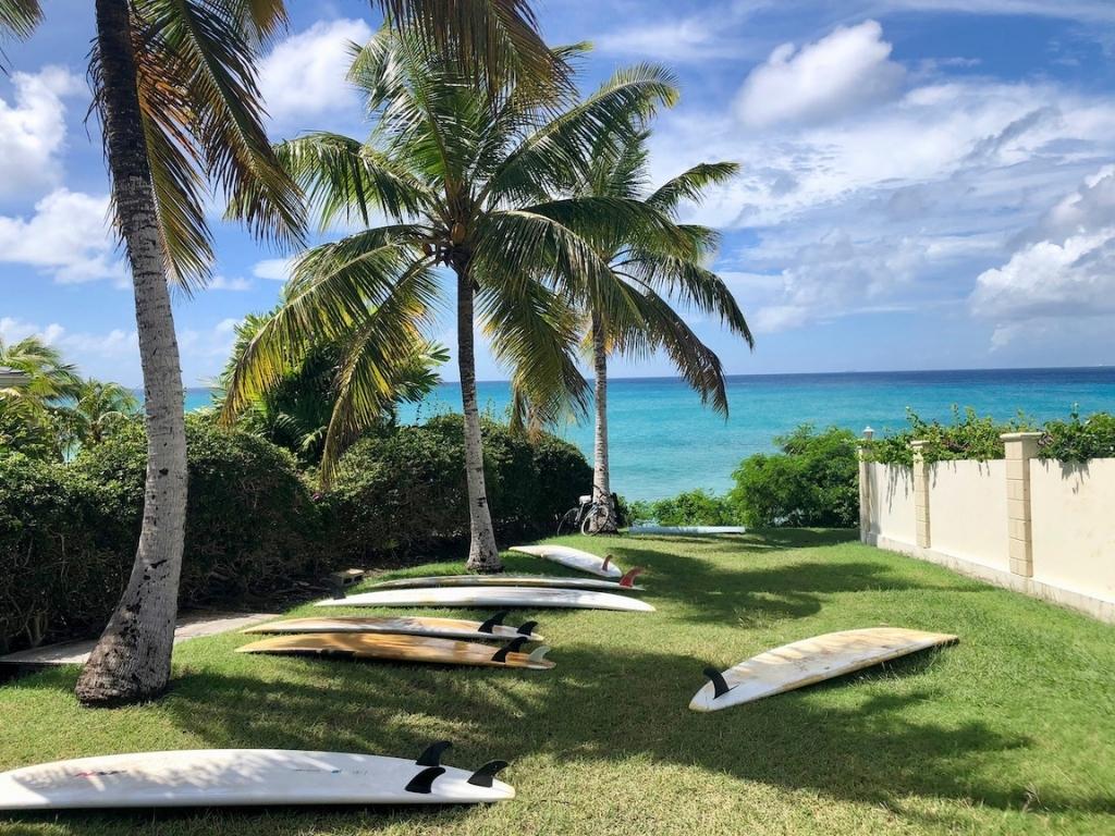 A grassy area with palm trees overlooking Freights Bay Barbados. There are seven surfboards in the shade under the trees and a bike leaning against one of the palm trees