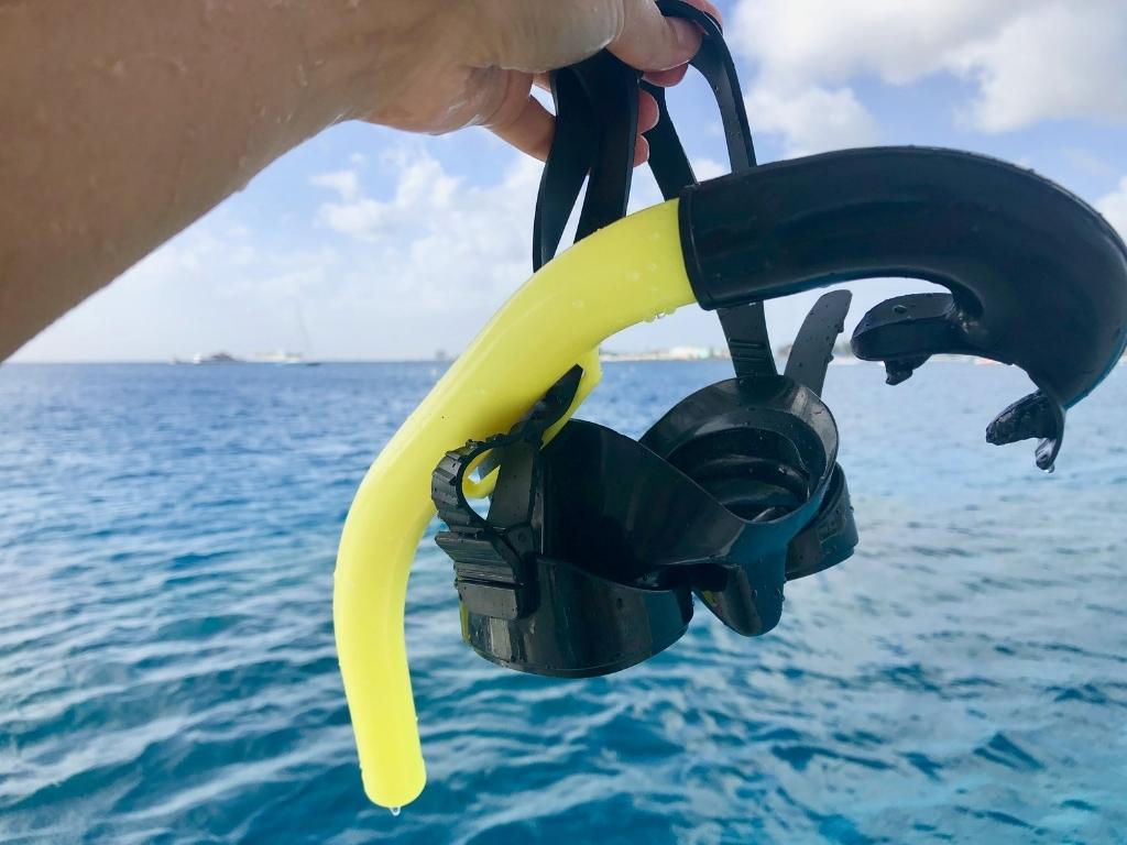 A snorkeler holds a mask and snorkel in the foreground. The ocean is clear and blue in the background.