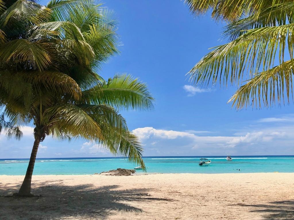 A tranquil white-sand beach in Barbados with two palm trees and two boats on the horizon.
