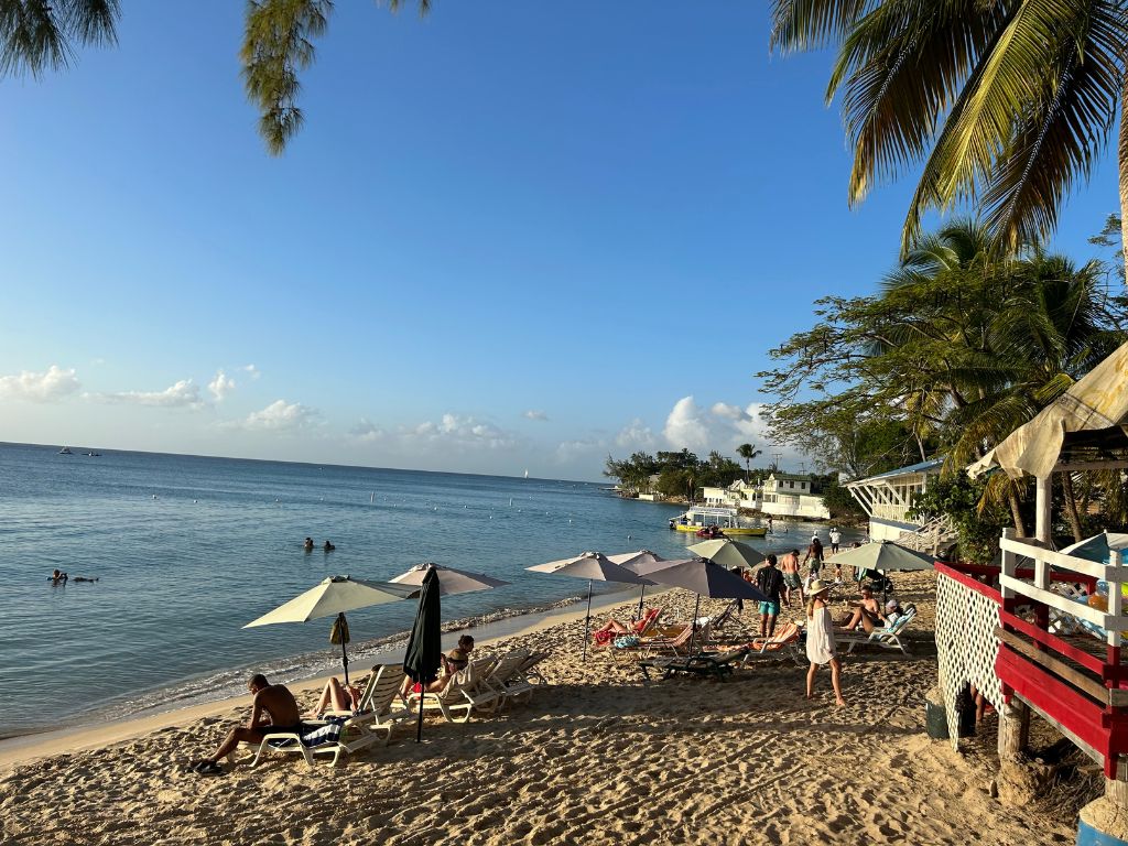 The beach area by Sea Shed beach bar in Speightstown Barbados. There are white umbrellas and beach chairs facing the ocean late in the afternoon, and palm trees also provide shade further from the water